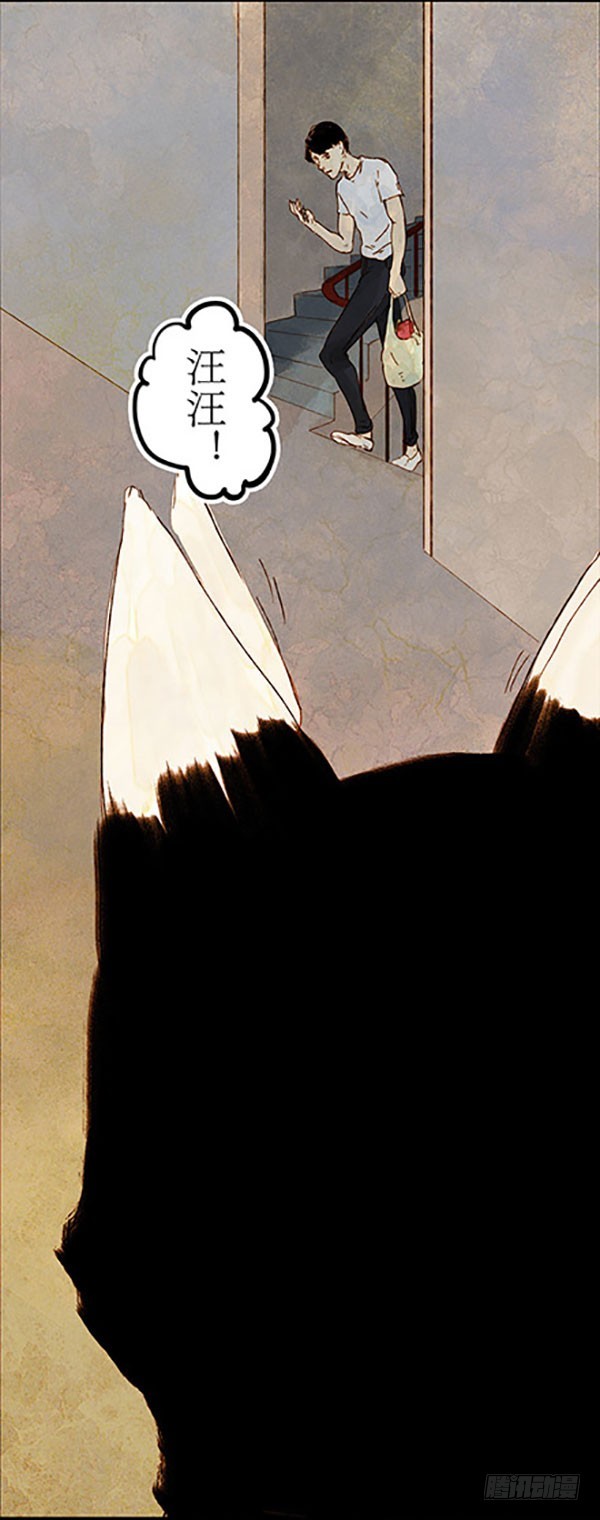 哈哈哈！小爷我回来啦！-第45话