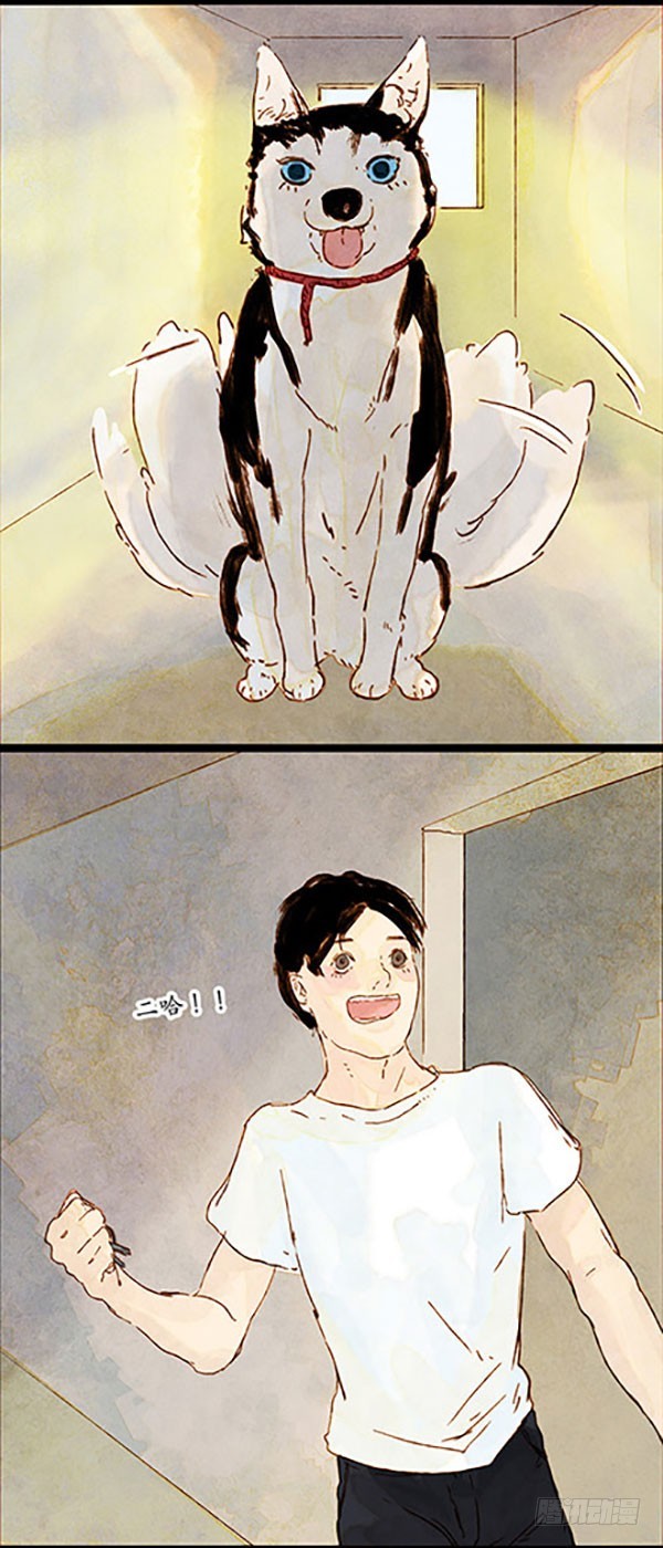 哈哈哈！小爷我回来啦！-第45话