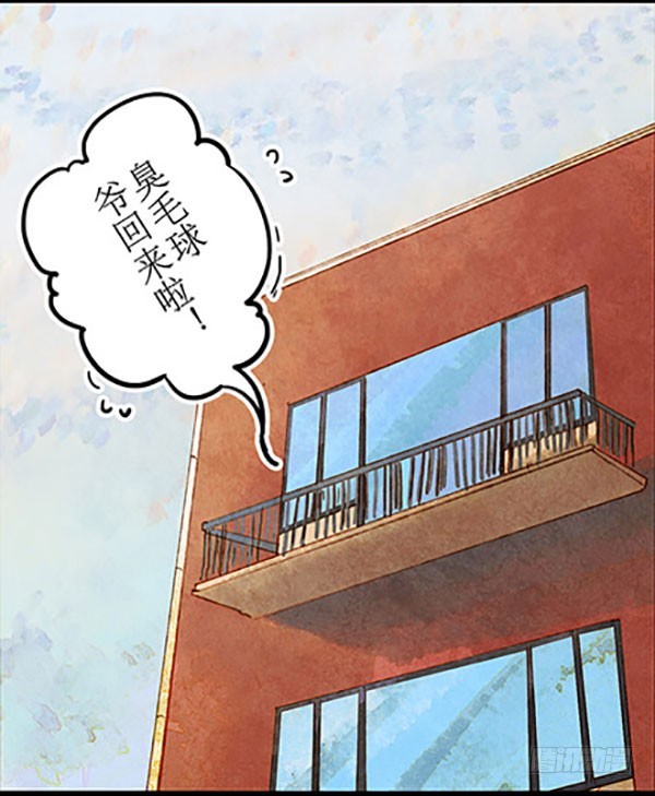 哈哈哈！小爷我回来啦！-第45话