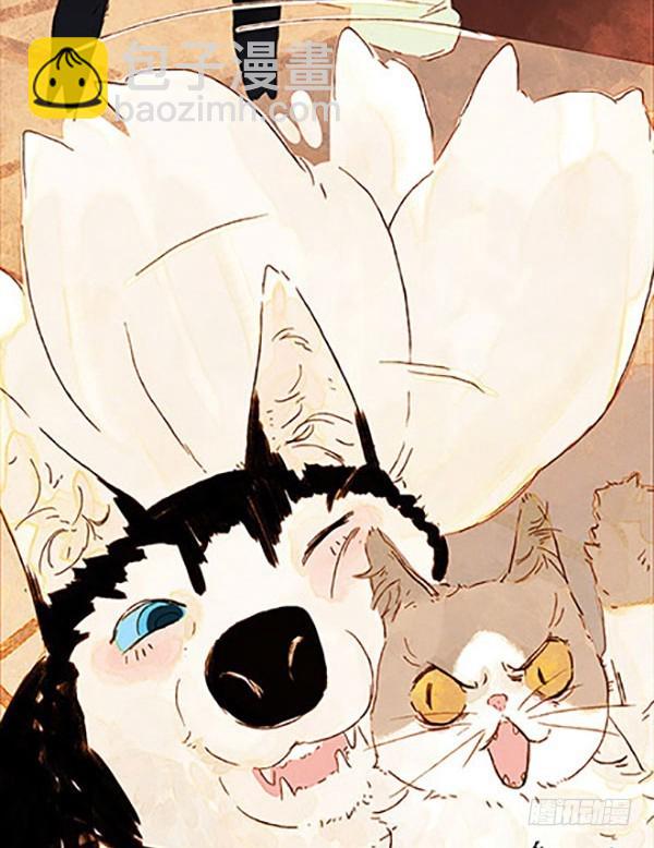 哈哈哈！小爷我回来啦！-第45话