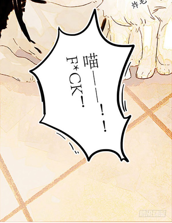 哈哈哈！小爷我回来啦！-第45话