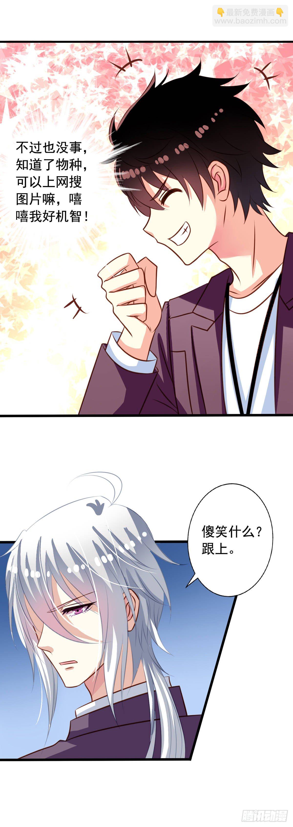 第34回 苦命鸳鸯-第35话