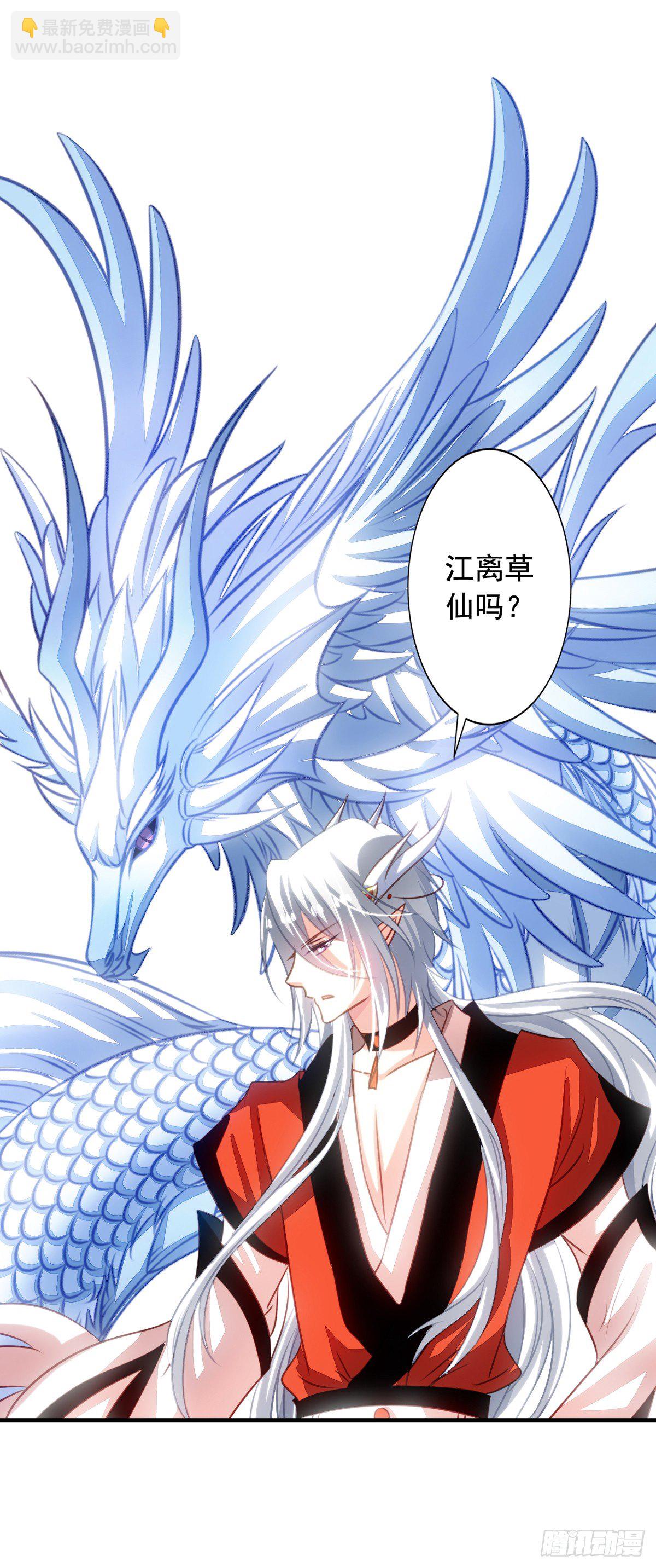 第50回 九爷！我养你！-第51话