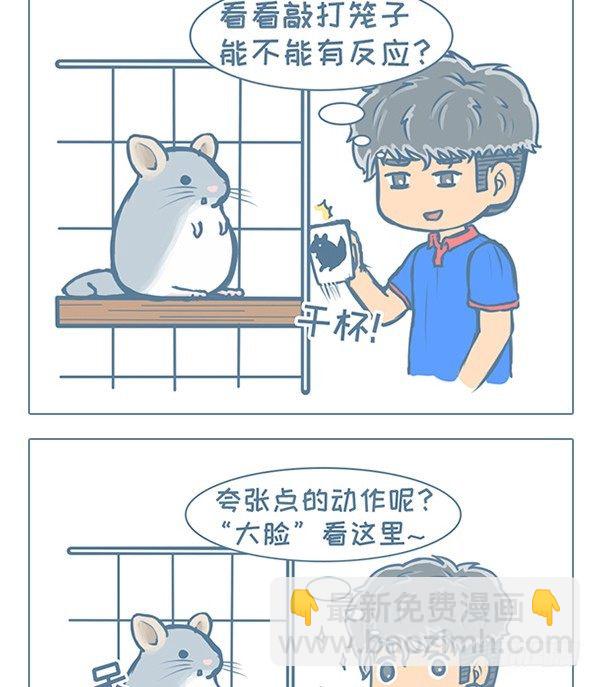 小雕塑故事之二（1）-第135话