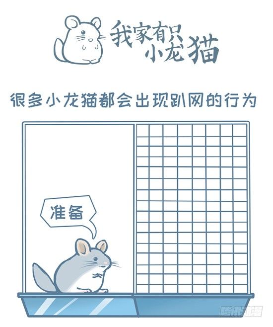 小龙猫蜘蛛侠故事之一-第141话