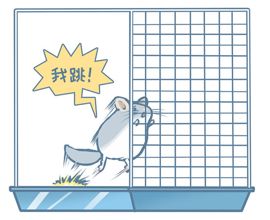 小龙猫蜘蛛侠故事之一-第141话
