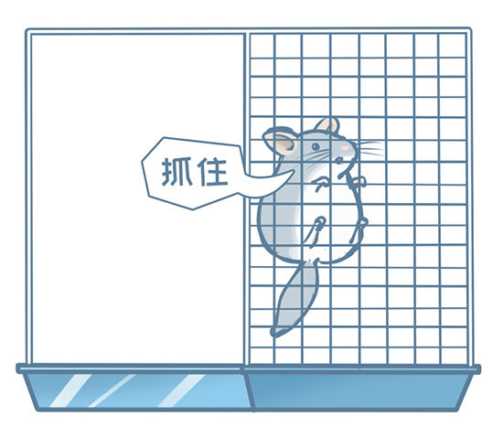 小龙猫蜘蛛侠故事之一-第141话