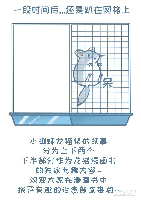 小龙猫蜘蛛侠故事之一-第141话