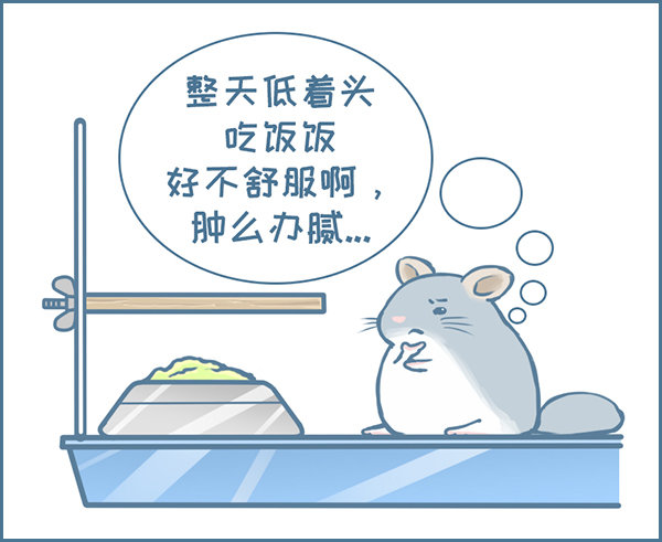 第128个小故事（上）-第173话