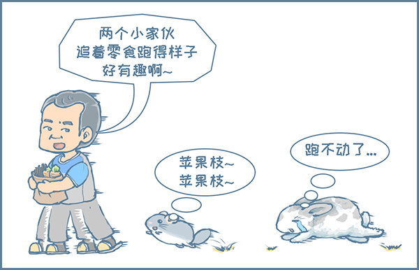 第139个小故事-第191话