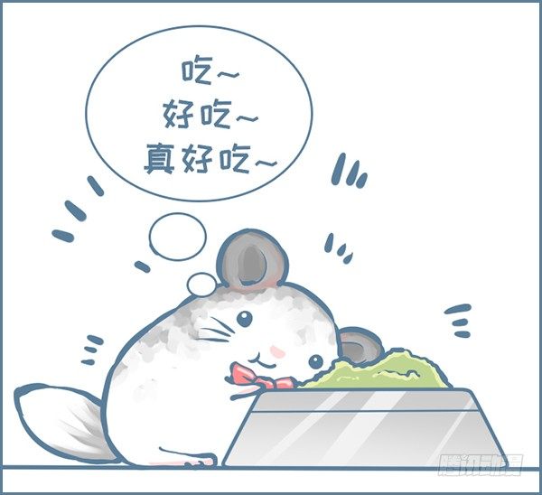 第153个小故事-第215话