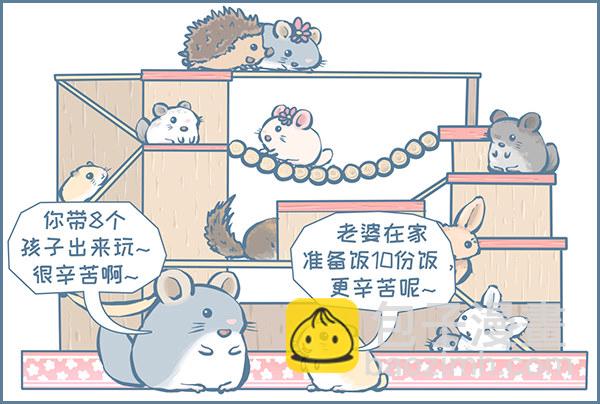 第155个小故事-第217话