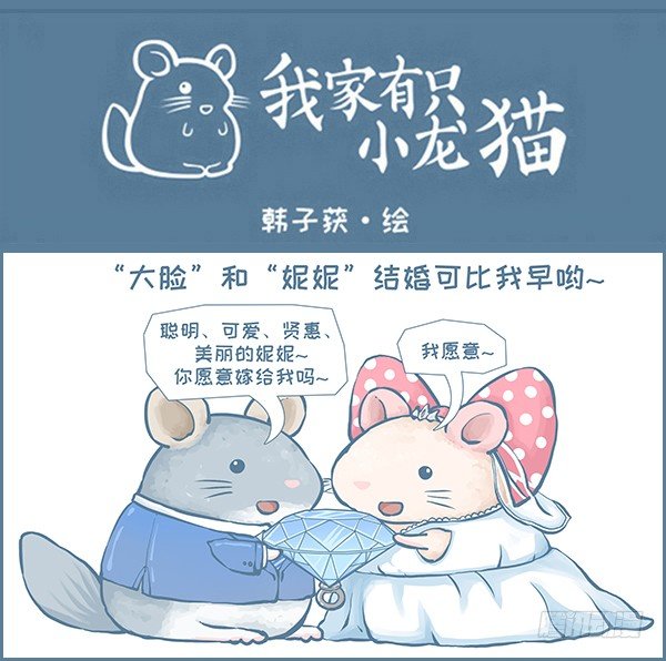 我们结婚啦（上）-第221话