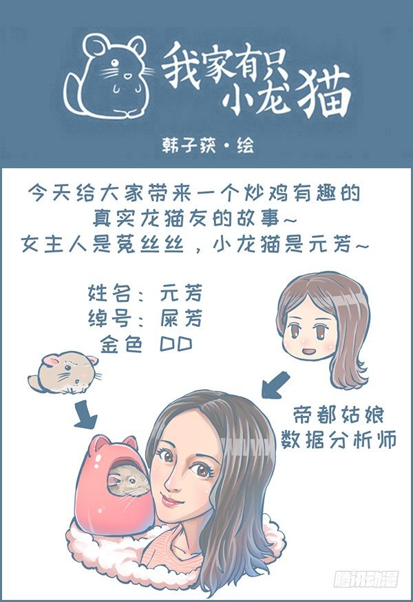 真实的龙猫友故事&mdash;菟丝丝（上）-第237话