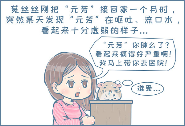 真实的龙猫友故事&mdash;菟丝丝（上）-第237话