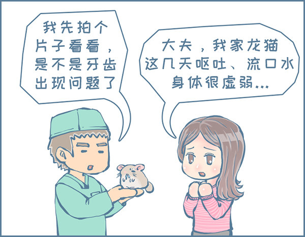 真实的龙猫友故事&mdash;菟丝丝（上）-第237话