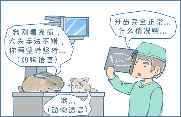 真实的龙猫友故事&mdash;菟丝丝（上）-第237话