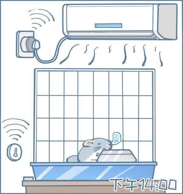 第159个小故事（下）-第243话