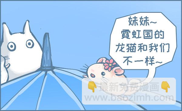 当龙猫遇见龙猫-第273话