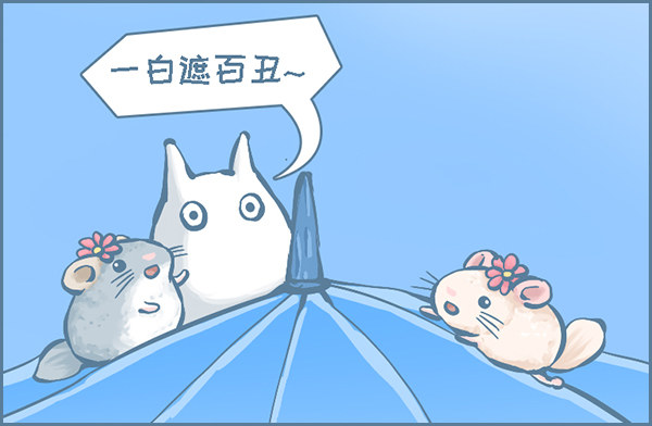 当龙猫遇见龙猫-第273话