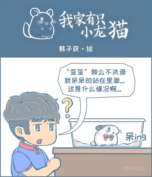 龙猫&ldquo;歪歪&rdquo;不洗澡了（2）-第281话