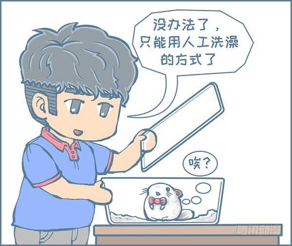 龙猫&ldquo;歪歪&rdquo;不洗澡了（2）-第281话