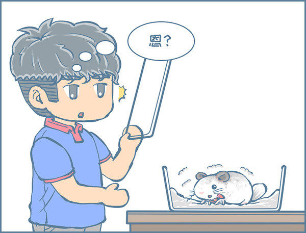 龙猫&ldquo;歪歪&rdquo;不洗澡了（4）-第283话
