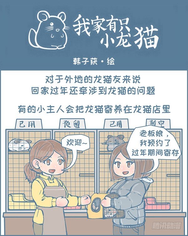 在外打拼，回家过年（2）-第285话