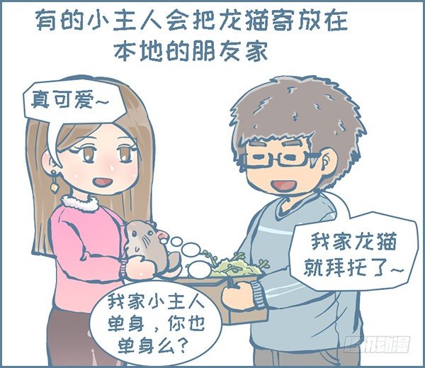 在外打拼，回家过年（2）-第285话