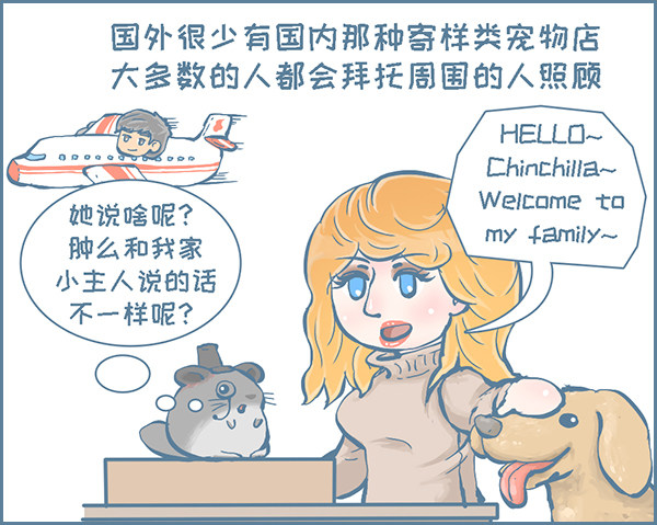 在外打拼，回家过年（2）-第285话