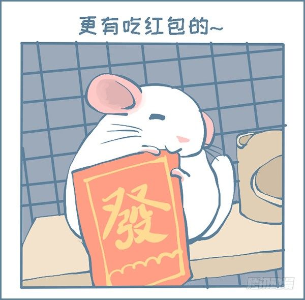 过年龙猫群的故事（下）-第295话