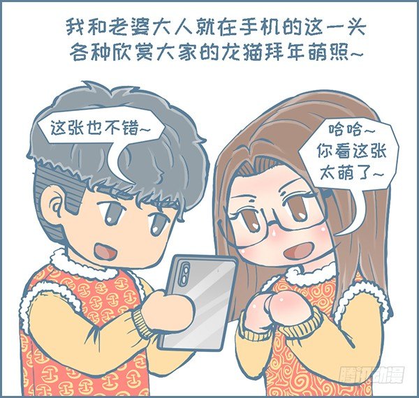 过年龙猫群的故事（下）-第295话