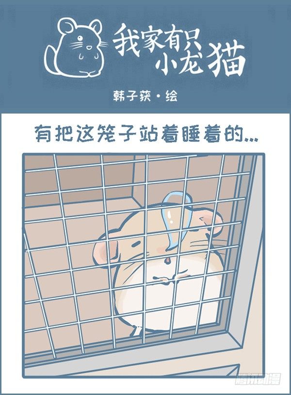 拍了龙猫半个月的睡觉萌照（下）-第297话