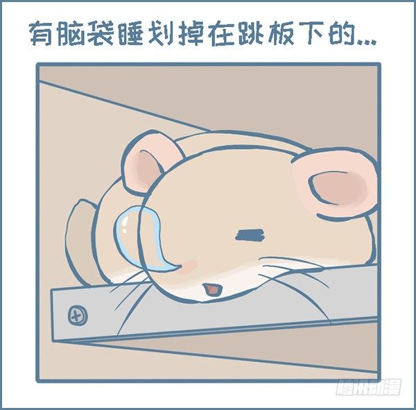 拍了龙猫半个月的睡觉萌照（下）-第297话