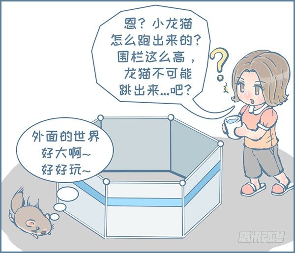 龙猫放风围栏（下）-第301话