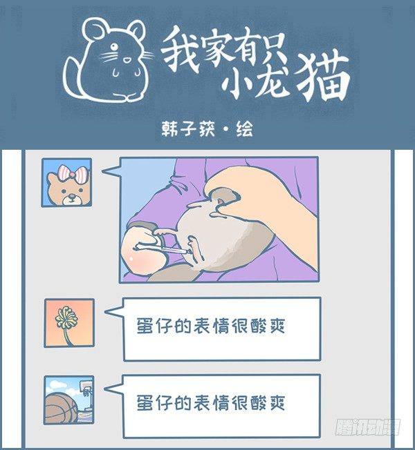 龙猫蛋仔的黑历史（下）-第303话