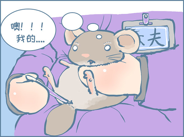 龙猫蛋仔的黑历史（下）-第303话
