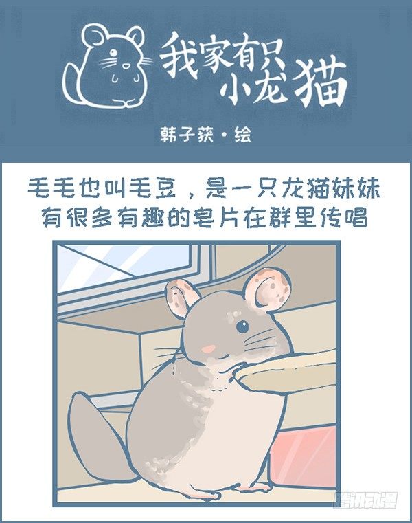 龙猫毛毛的有趣照片（下）-第305话