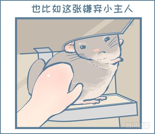 龙猫毛毛的有趣照片（下）-第305话