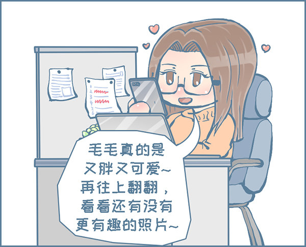 龙猫毛毛的有趣照片（下）-第305话