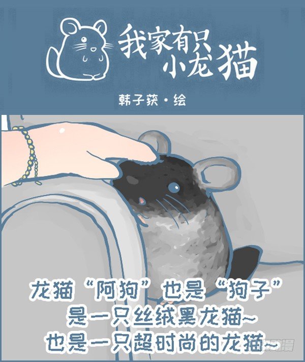 时尚的龙猫阿狗（下）-第307话