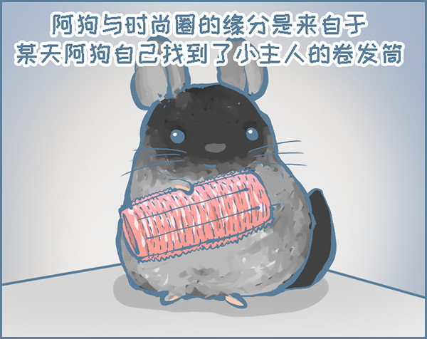 时尚的龙猫阿狗（下）-第307话