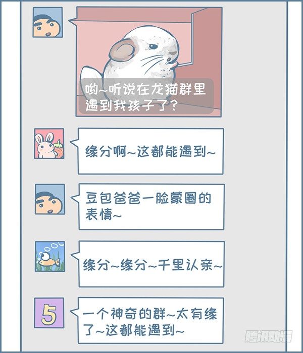 龙猫千里认亲（下）-第309话