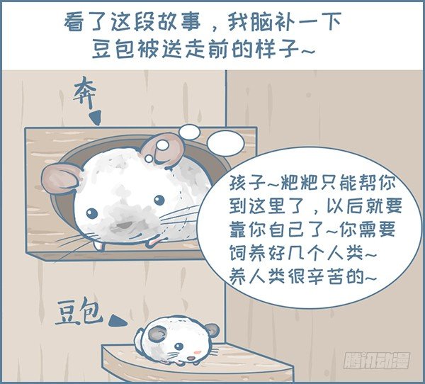 龙猫千里认亲（下）-第309话