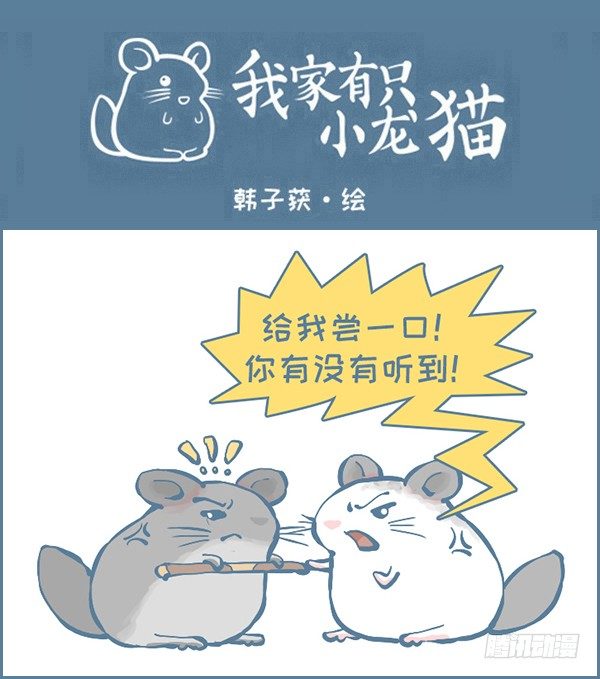 龙猫的打仗方式（下）-第311话