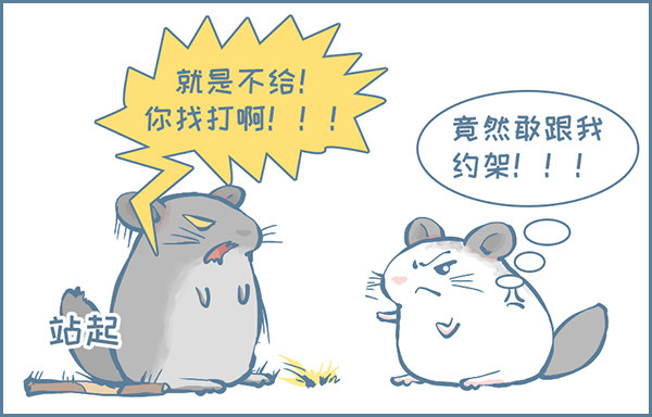 龙猫的打仗方式（下）-第311话