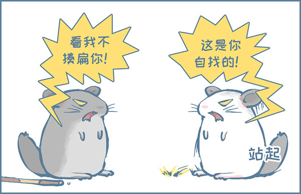 龙猫的打仗方式（下）-第311话