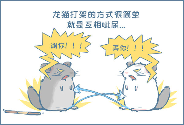 龙猫的打仗方式（下）-第311话
