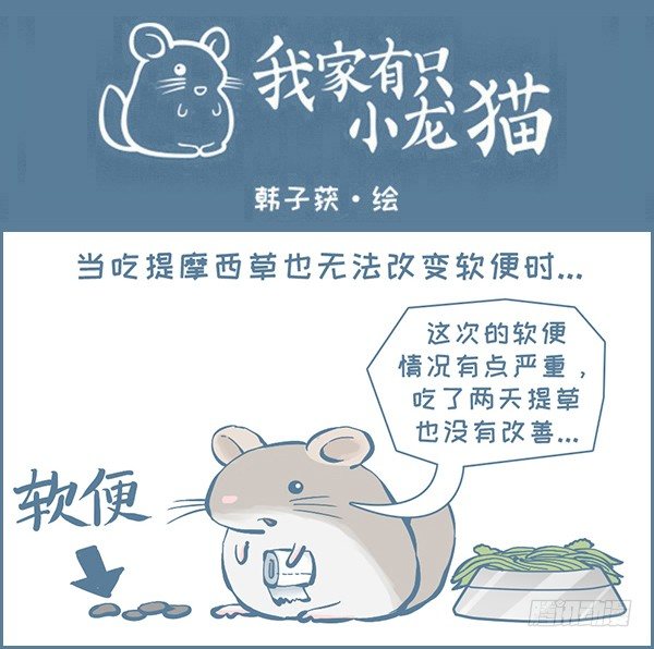 龙猫软便了（下）-第313话