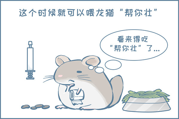 龙猫软便了（下）-第313话